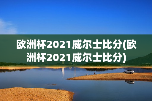 欧洲杯2021威尔士比分(欧洲杯2021威尔士比分)