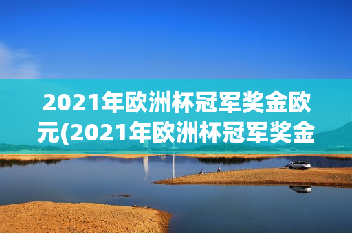 2021年欧洲杯冠军奖金欧元(2021年欧洲杯冠军奖金欧元多少)