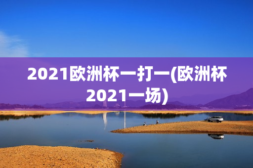 2021欧洲杯一打一(欧洲杯2021一场)