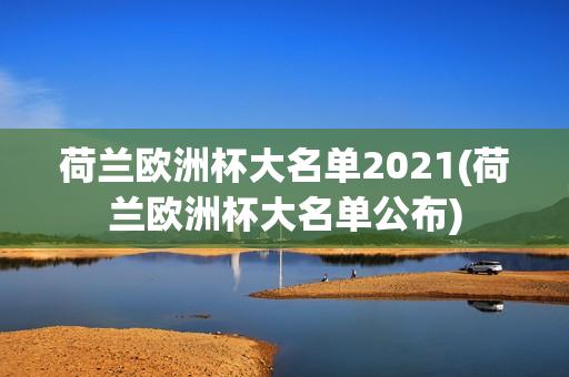 荷兰欧洲杯大名单2021(荷兰欧洲杯大名单公布)