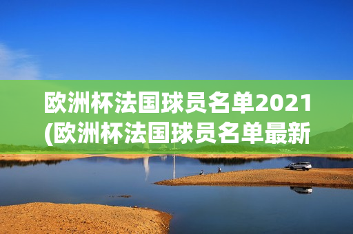 欧洲杯法国球员名单2021(欧洲杯法国球员名单最新)