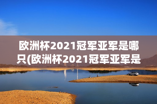 欧洲杯2021冠军亚军是哪只(欧洲杯2021冠军亚军是哪只球队)