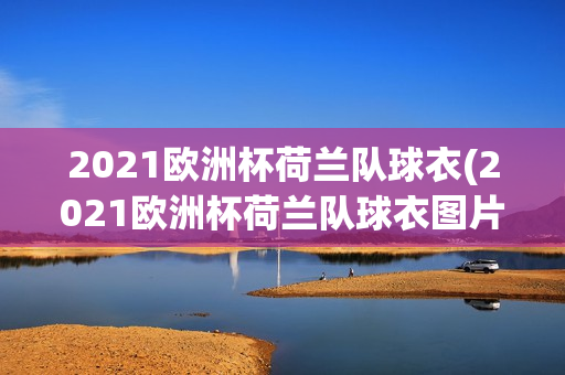 2021欧洲杯荷兰队球衣(2021欧洲杯荷兰队球衣图片)