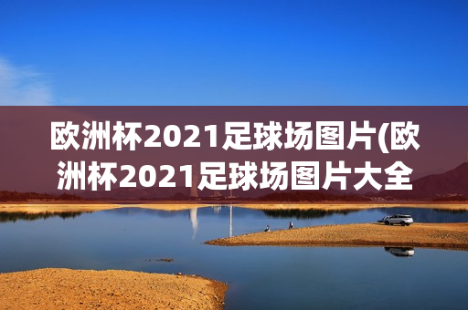 欧洲杯2021足球场图片(欧洲杯2021足球场图片大全)