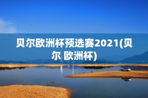 贝尔欧洲杯预选赛2021(贝尔 欧洲杯)