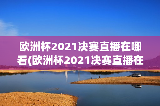 欧洲杯2021决赛直播在哪看(欧洲杯2021决赛直播在哪看啊)