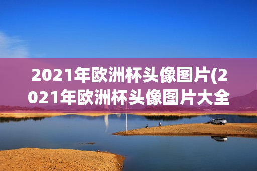 2021年欧洲杯头像图片(2021年欧洲杯头像图片大全)