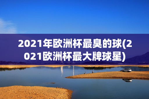 2021年欧洲杯最臭的球(2021欧洲杯最大牌球星)