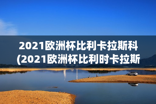 2021欧洲杯比利卡拉斯科(2021欧洲杯比利时卡拉斯科)