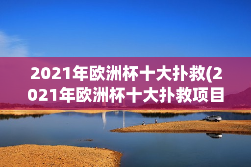 2021年欧洲杯十大扑救(2021年欧洲杯十大扑救项目)