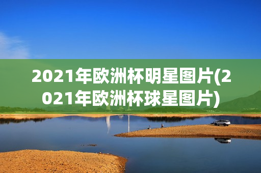 2021年欧洲杯明星图片(2021年欧洲杯球星图片)