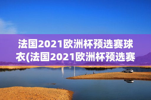 法国2021欧洲杯预选赛球衣(法国2021欧洲杯预选赛球衣图片)