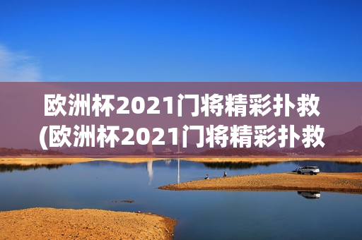 欧洲杯2021门将精彩扑救(欧洲杯2021门将精彩扑救视频)