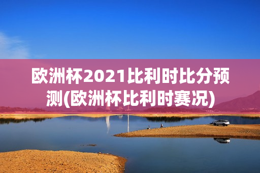 欧洲杯2021比利时比分预测(欧洲杯比利时赛况)