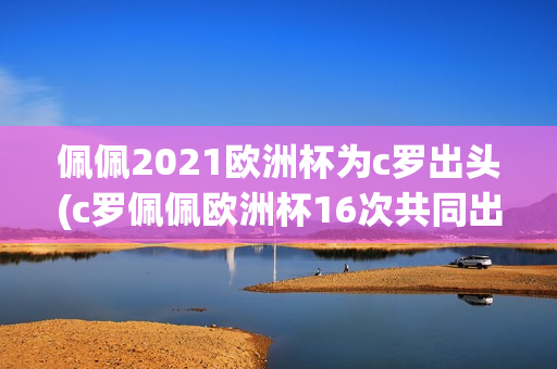 佩佩2021欧洲杯为c罗出头(c罗佩佩欧洲杯16次共同出场)