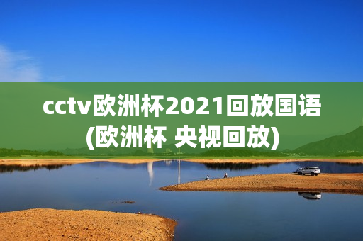 cctv欧洲杯2021回放国语(欧洲杯 央视回放)