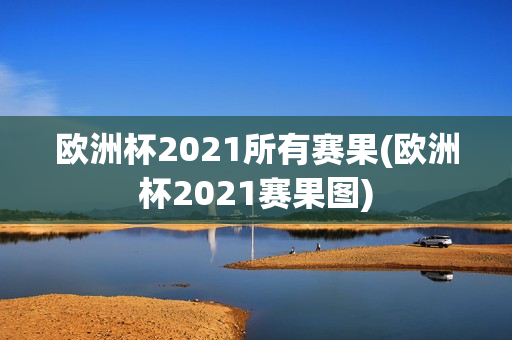 欧洲杯2021所有赛果(欧洲杯2021赛果图)