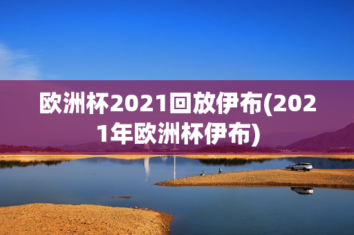 欧洲杯2021回放伊布(2021年欧洲杯伊布)