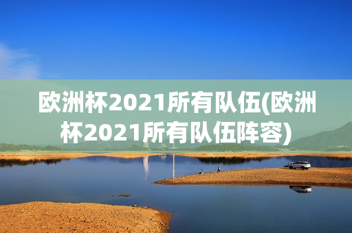 欧洲杯2021所有队伍(欧洲杯2021所有队伍阵容)