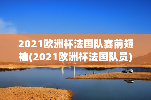 2021欧洲杯法国队赛前短袖(2021欧洲杯法国队员)