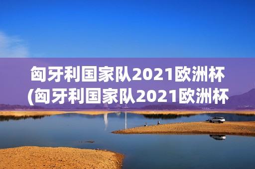 匈牙利国家队2021欧洲杯(匈牙利国家队2021欧洲杯阵容)