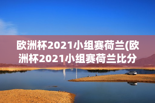 欧洲杯2021小组赛荷兰(欧洲杯2021小组赛荷兰比分)