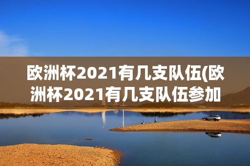 欧洲杯2021有几支队伍(欧洲杯2021有几支队伍参加)