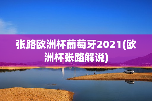 张路欧洲杯葡萄牙2021(欧洲杯张路解说)