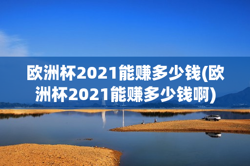 欧洲杯2021能赚多少钱(欧洲杯2021能赚多少钱啊)