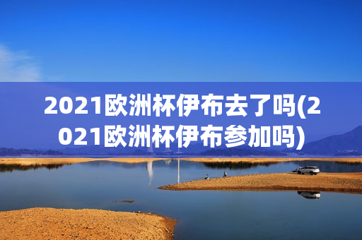 2021欧洲杯伊布去了吗(2021欧洲杯伊布参加吗)