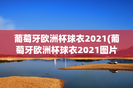 葡萄牙欧洲杯球衣2021(葡萄牙欧洲杯球衣2021图片)