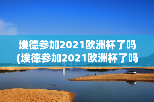 埃德参加2021欧洲杯了吗(埃德参加2021欧洲杯了吗)