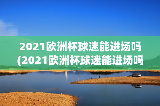 2021欧洲杯球迷能进场吗(2021欧洲杯球迷能进场吗视频)