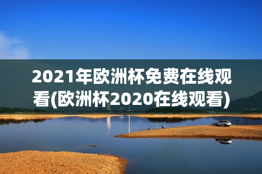 2021年欧洲杯免费在线观看(欧洲杯2020在线观看)