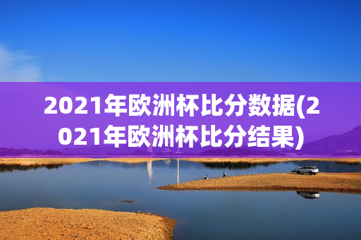 2021年欧洲杯比分数据(2021年欧洲杯比分结果)