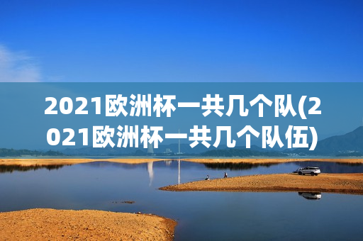 2021欧洲杯一共几个队(2021欧洲杯一共几个队伍)