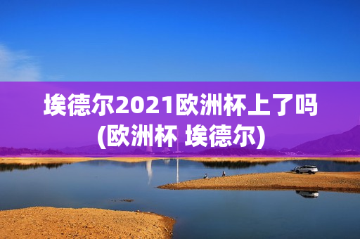 埃德尔2021欧洲杯上了吗(欧洲杯 埃德尔)