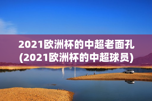 2021欧洲杯的中超老面孔(2021欧洲杯的中超球员)