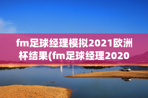 fm足球经理模拟2021欧洲杯结果(fm足球经理2020)