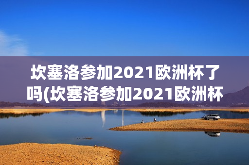 坎塞洛参加2021欧洲杯了吗(坎塞洛参加2021欧洲杯了吗知乎)