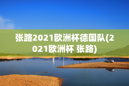 张路2021欧洲杯德国队(2021欧洲杯 张路)