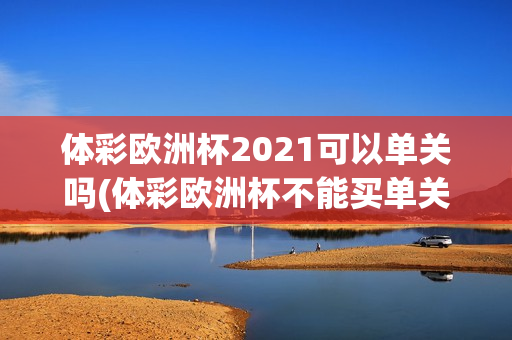 体彩欧洲杯2021可以单关吗(体彩欧洲杯不能买单关)