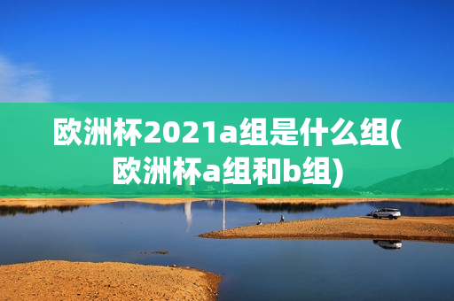 欧洲杯2021a组是什么组(欧洲杯a组和b组)