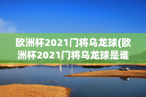 欧洲杯2021门将乌龙球(欧洲杯2021门将乌龙球是谁)