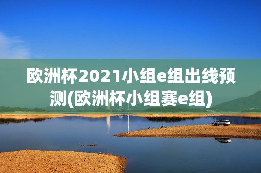 欧洲杯2021小组e组出线预测(欧洲杯小组赛e组)