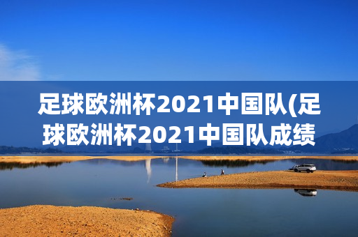 足球欧洲杯2021中国队(足球欧洲杯2021中国队成绩)