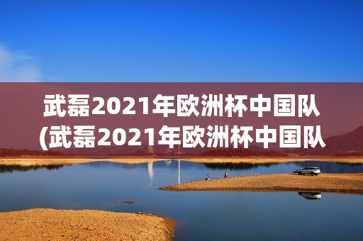 武磊2021年欧洲杯中国队(武磊2021年欧洲杯中国队成绩)