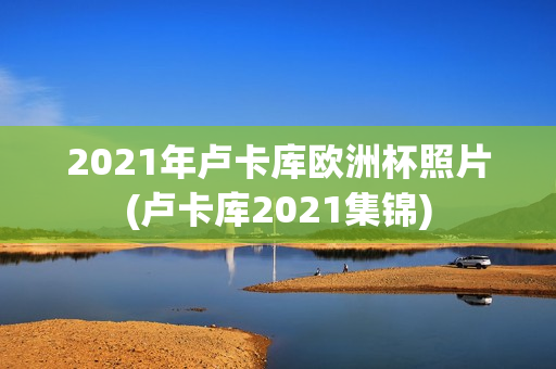 2021年卢卡库欧洲杯照片(卢卡库2021集锦)