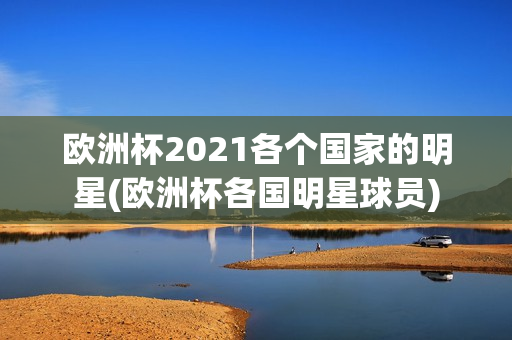 欧洲杯2021各个国家的明星(欧洲杯各国明星球员)