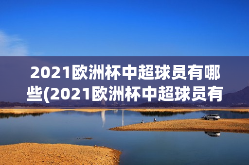 2021欧洲杯中超球员有哪些(2021欧洲杯中超球员有哪些球队)